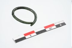 Foto von Bronzering (NHMW-PRAE-026374)